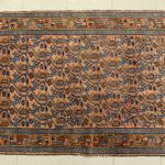 889 5161 ORIENTAL RUG